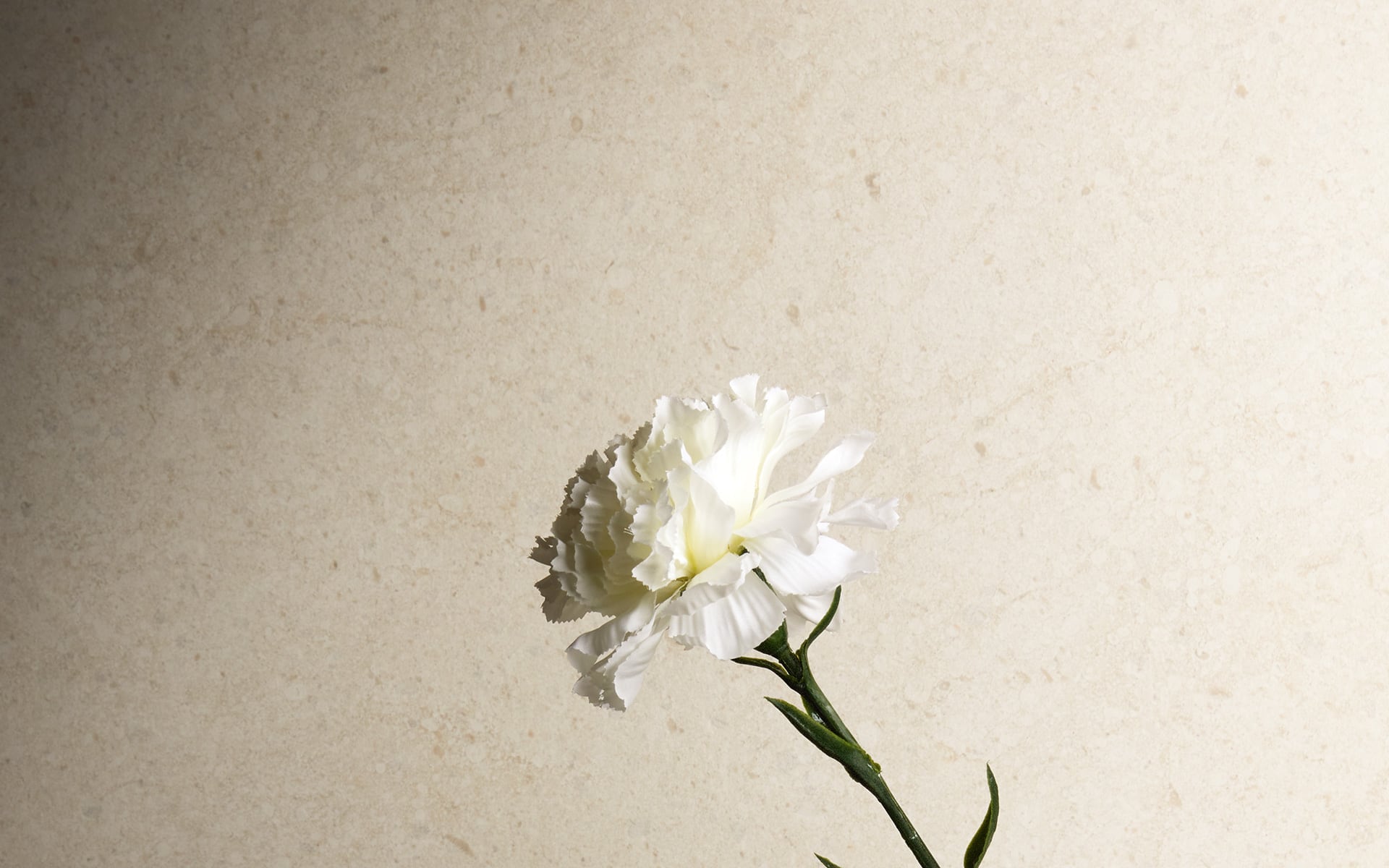 8929984 На пол Victorian Stone Moon Cream Structured 120x60 - фото 30