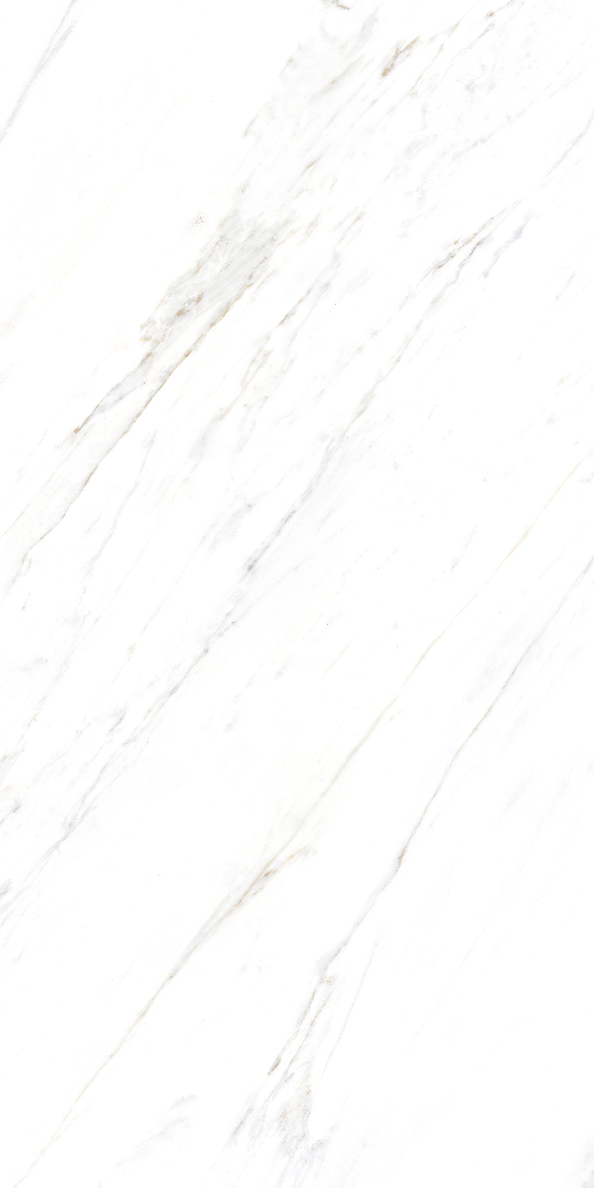 885  Напольный Marble 5.5mm Calacatta Caldia 120x60 - фото 6