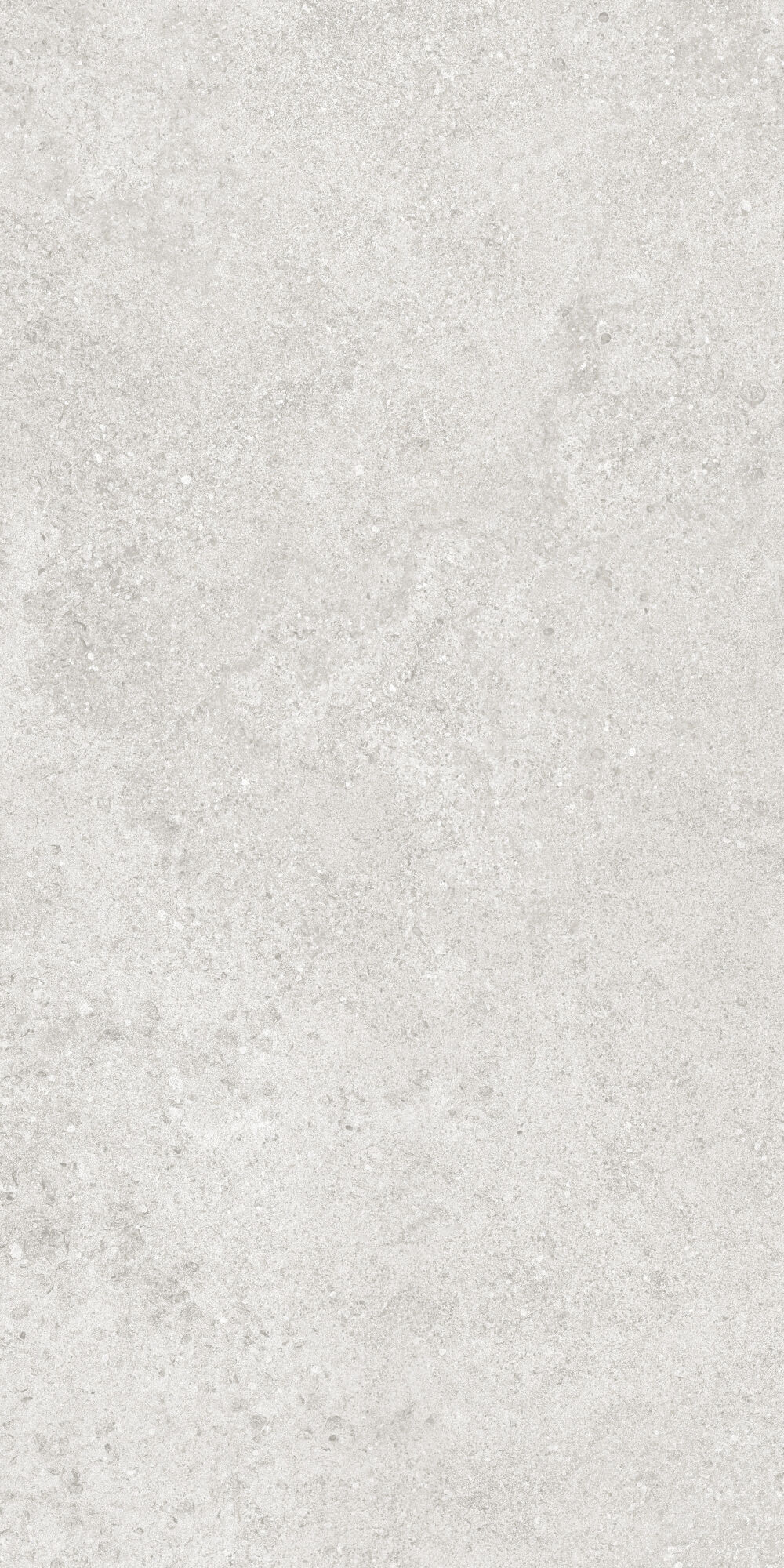 36904 На пол Cluny Silver 4D/50X100X2/A/R 50x100 - фото 9