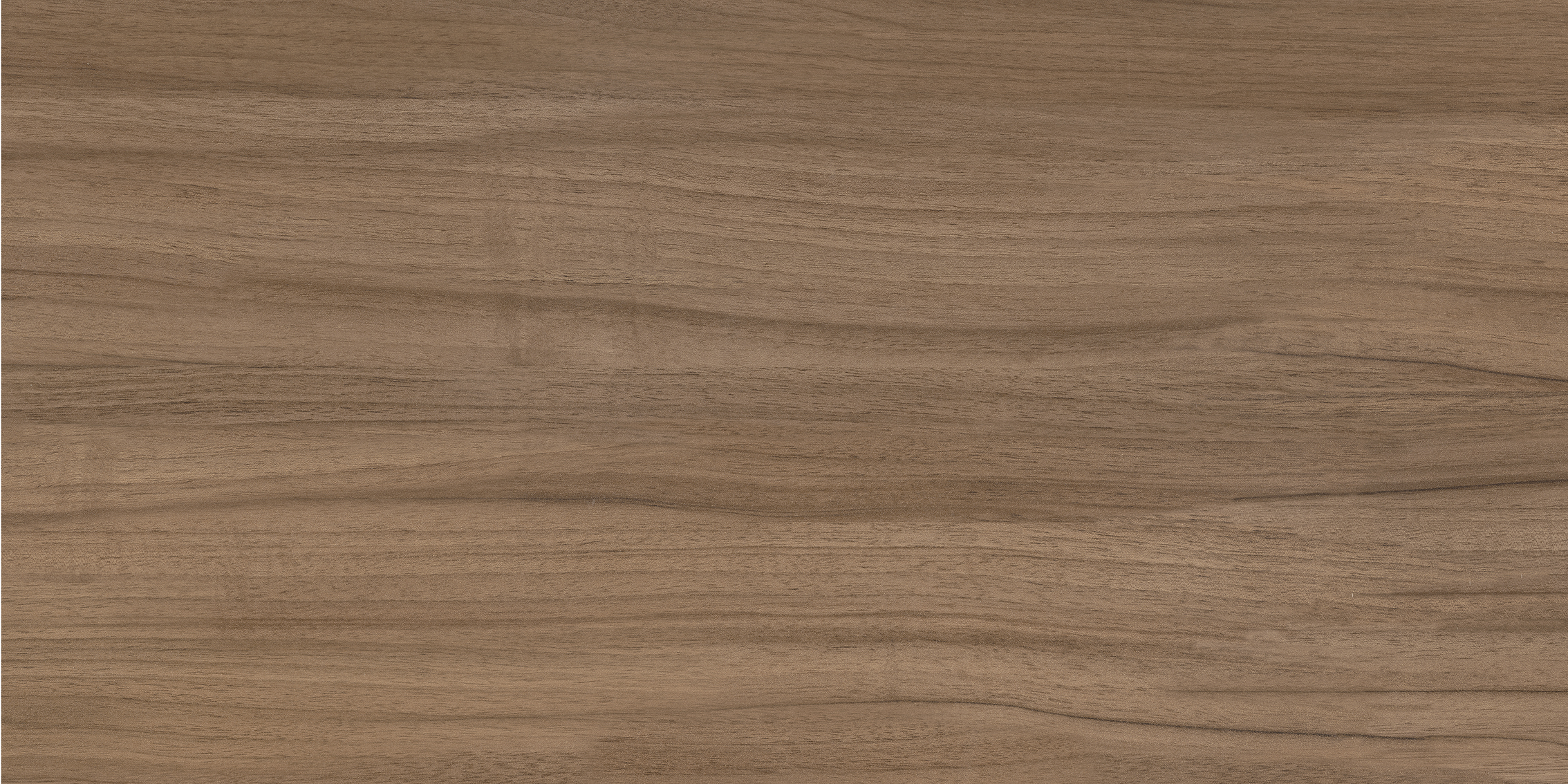 010100001763 На стену Барселона Волнат кор низ 01 30x60 - фото 4