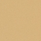 На пол Метлахская плитка 200CA0COG cx.20 COGNAC COG 20x20