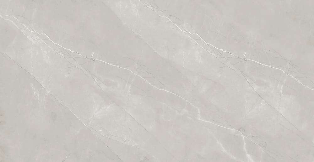 F4060821120G Напольный Vivyen Grey Glossy 60x120