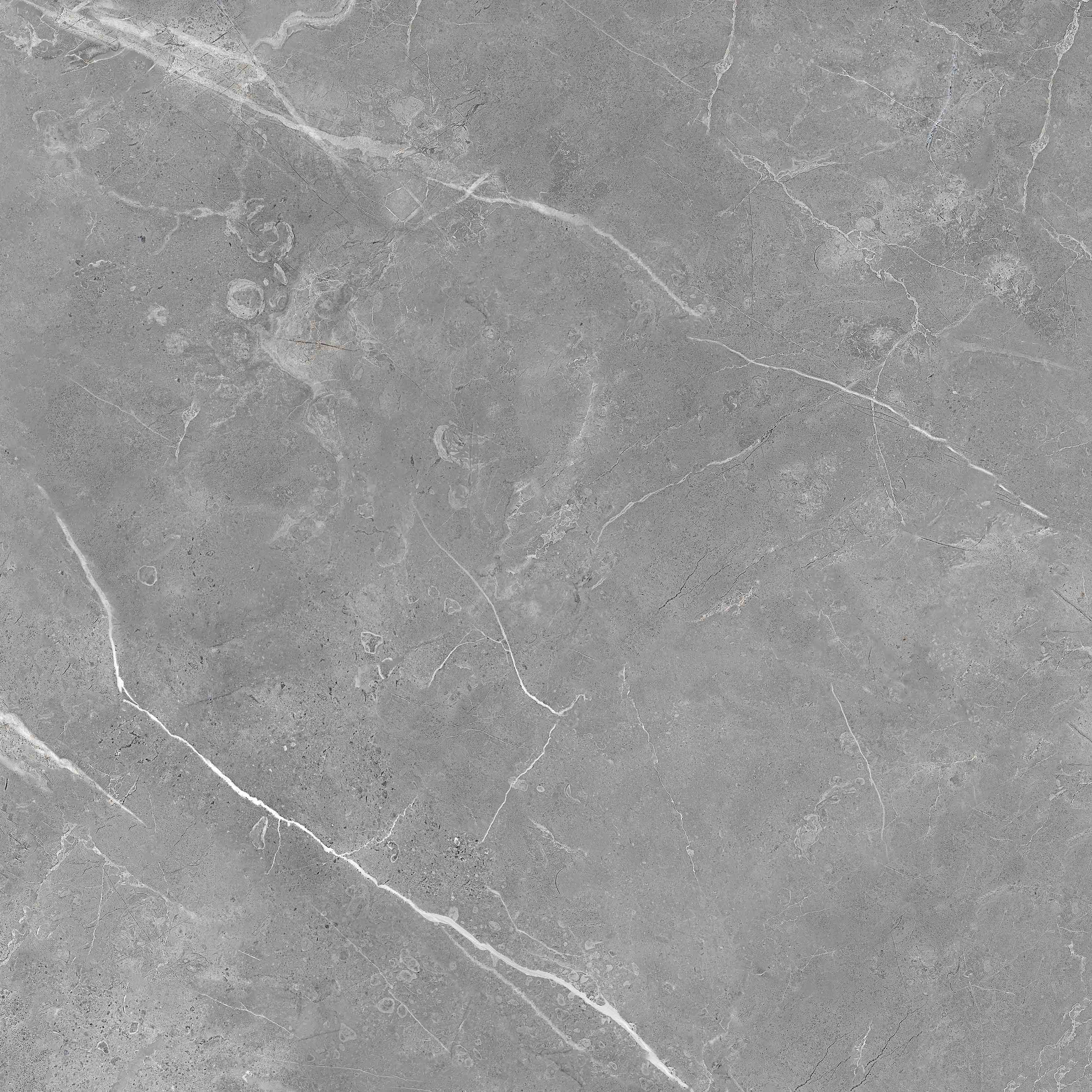 7930138705405 На пол Рубис/Rubis Серый Полированный 60x60 - фото 8