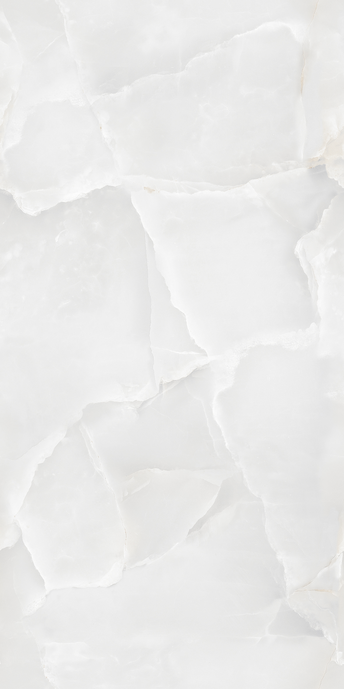 На пол Vani Grey Polished 60x120