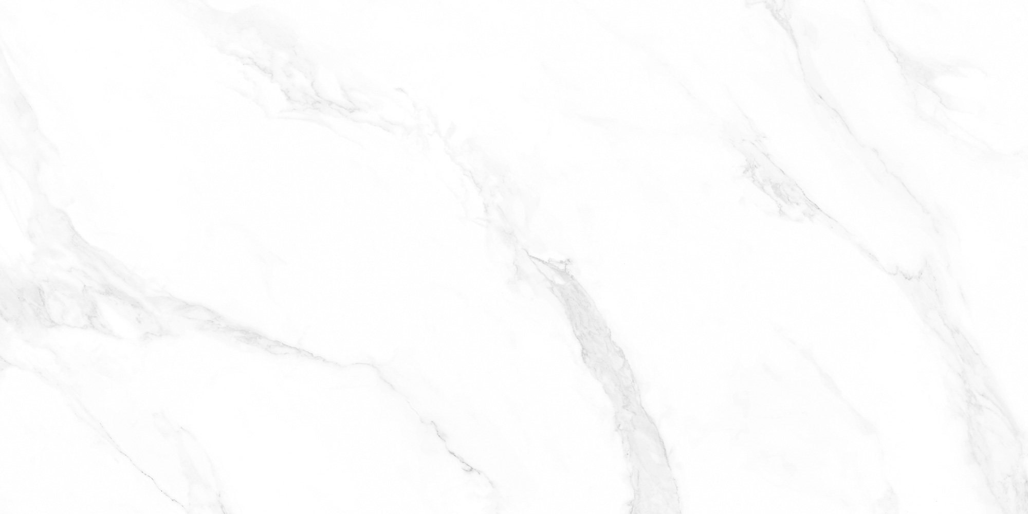 M4402P На пол Marble Carrara Anita Glossy 60x120