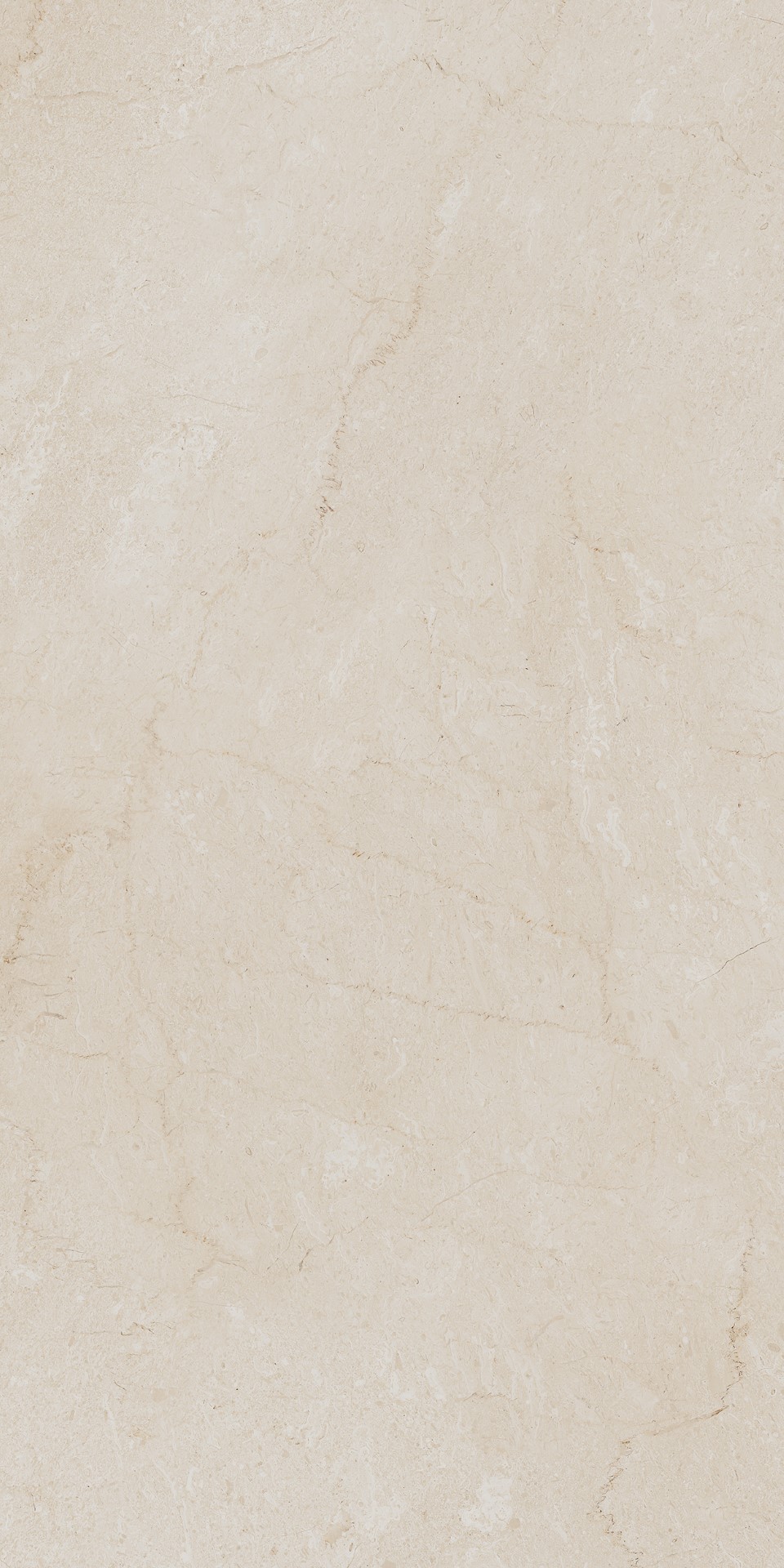 AEM00/NS_R9/60x120x9R/GW На пол Элемента Бежевый Неполированный Рект 60x120x9 - фото 2