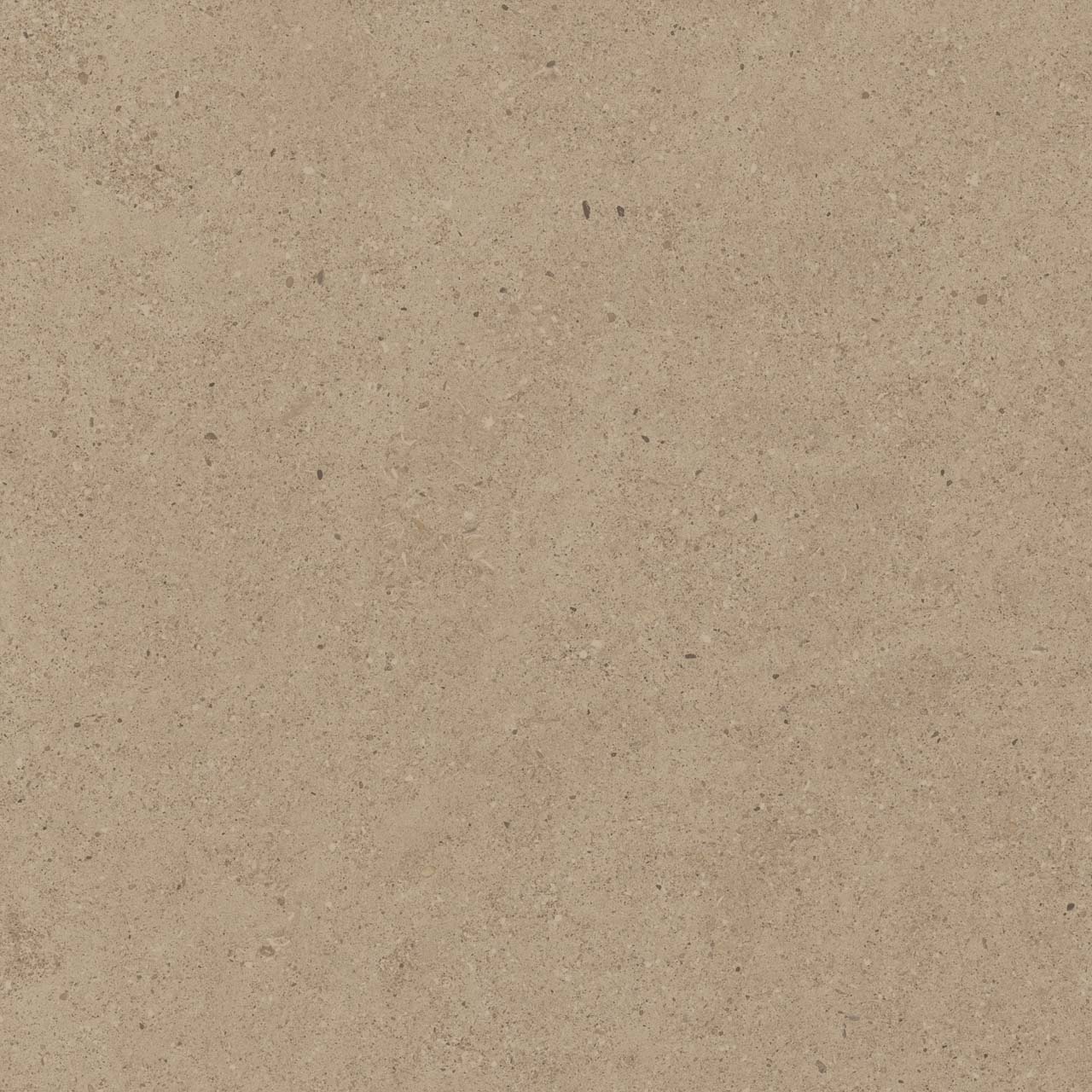 CE01/NR_R11/60x60x20R/GW На пол Спенс CE01 Темно-бежевый Структурированный Рект 60x60x20