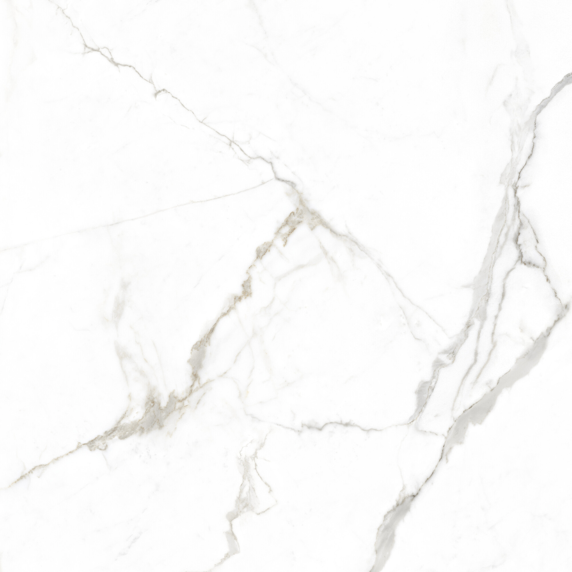 41741 На пол Museum Lumiere White SP/100x100x0.8/R - фото 4