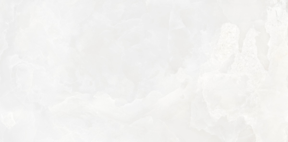 N130006 На пол Onyx Invictus White Polished 60x120