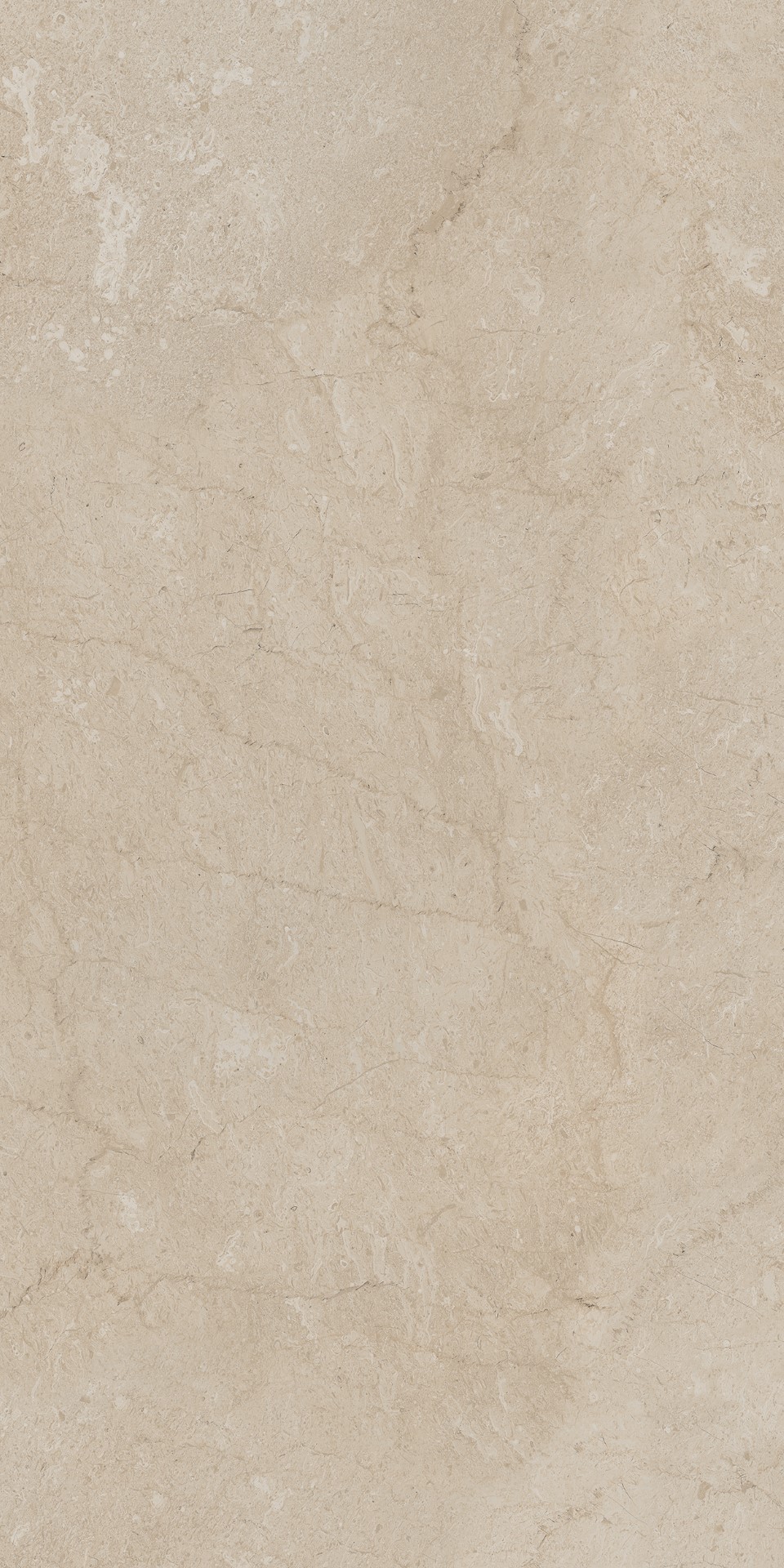 AEM01/NS_R9/60x120x9R/GW На пол Элемента Бежевый Неполированный Рект 60x120x9 - фото 8