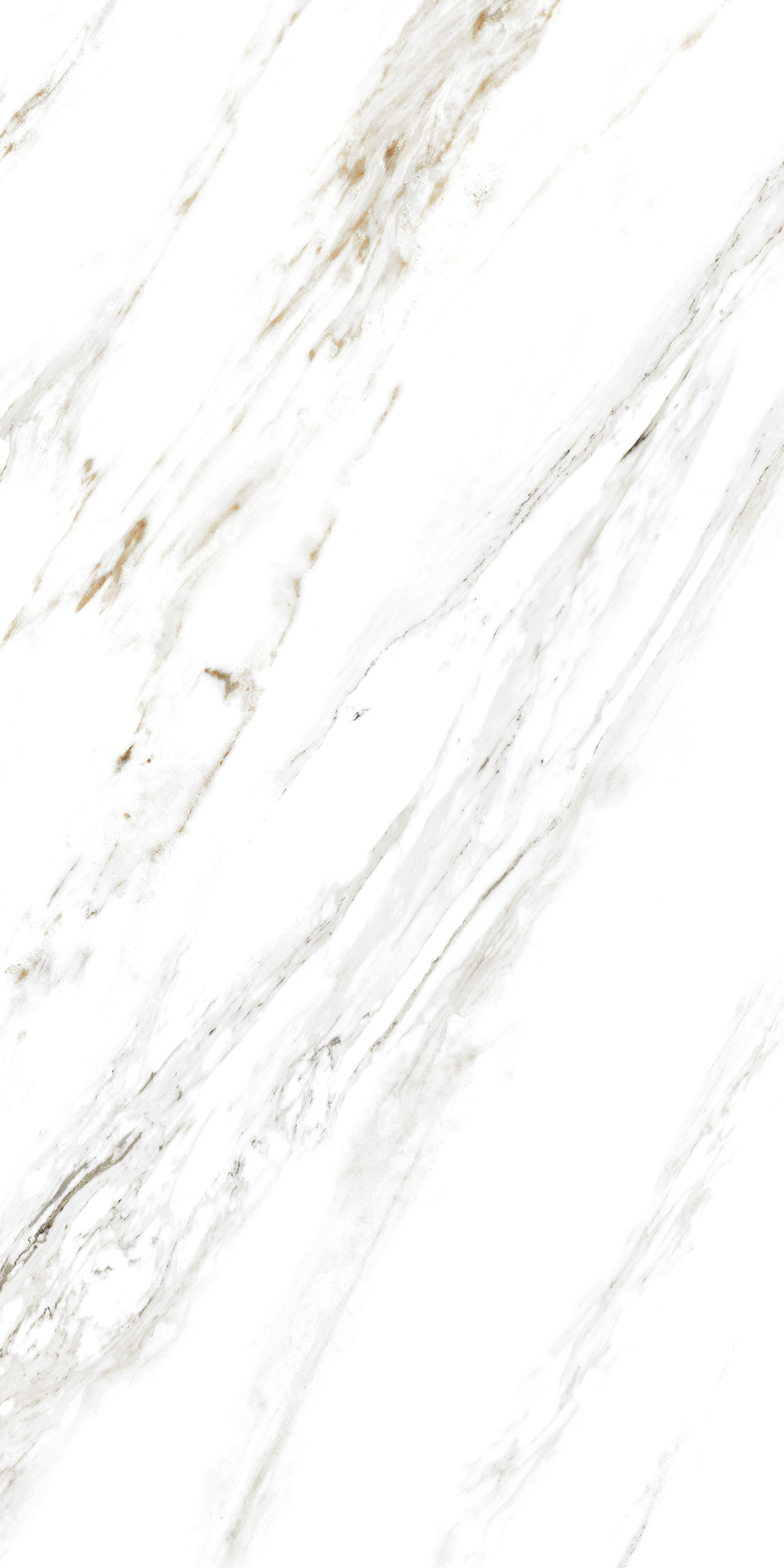 885  На пол Marble 5.5mm Calacatta Caldia 120x60 - фото 2