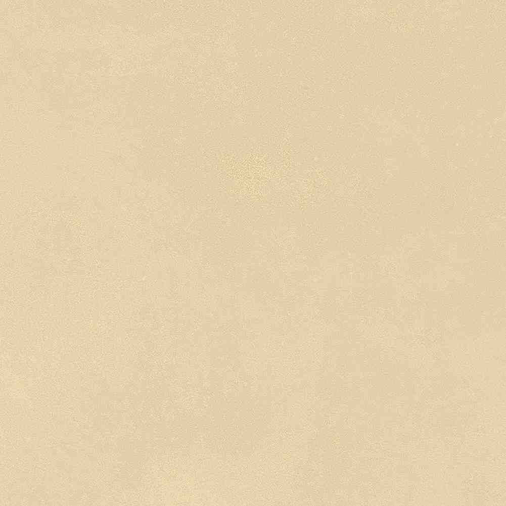 ENCLR6079MT2020 На пол Levels Avorio Matt 200х200х8 - фото 4