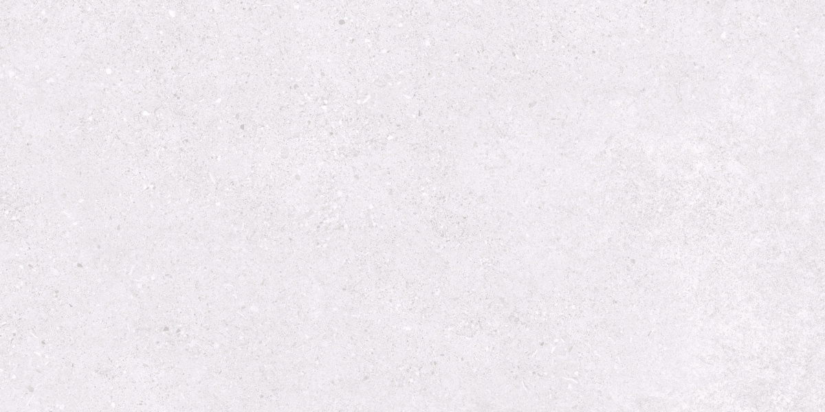 На пол Базальт Эксепшнал Сноу Светло-серый матовый 60х120 - фото 4