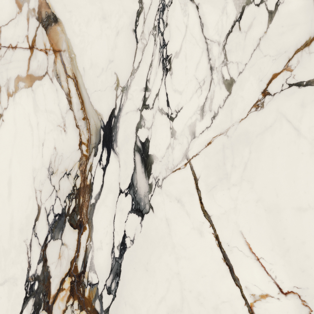 100331132 На пол Xlight Paonazzo Biondo Polished 120x120 - фото 8