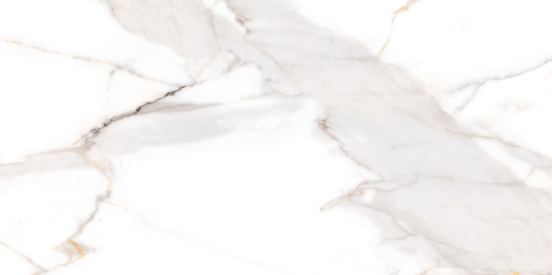 NTT9120M  На пол Bright And Shiny Calacatta Light Grey Mat 60x120 - фото 4