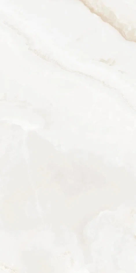 QI612P6701M  На пол Onix Astral Polish 60x120 - фото 5