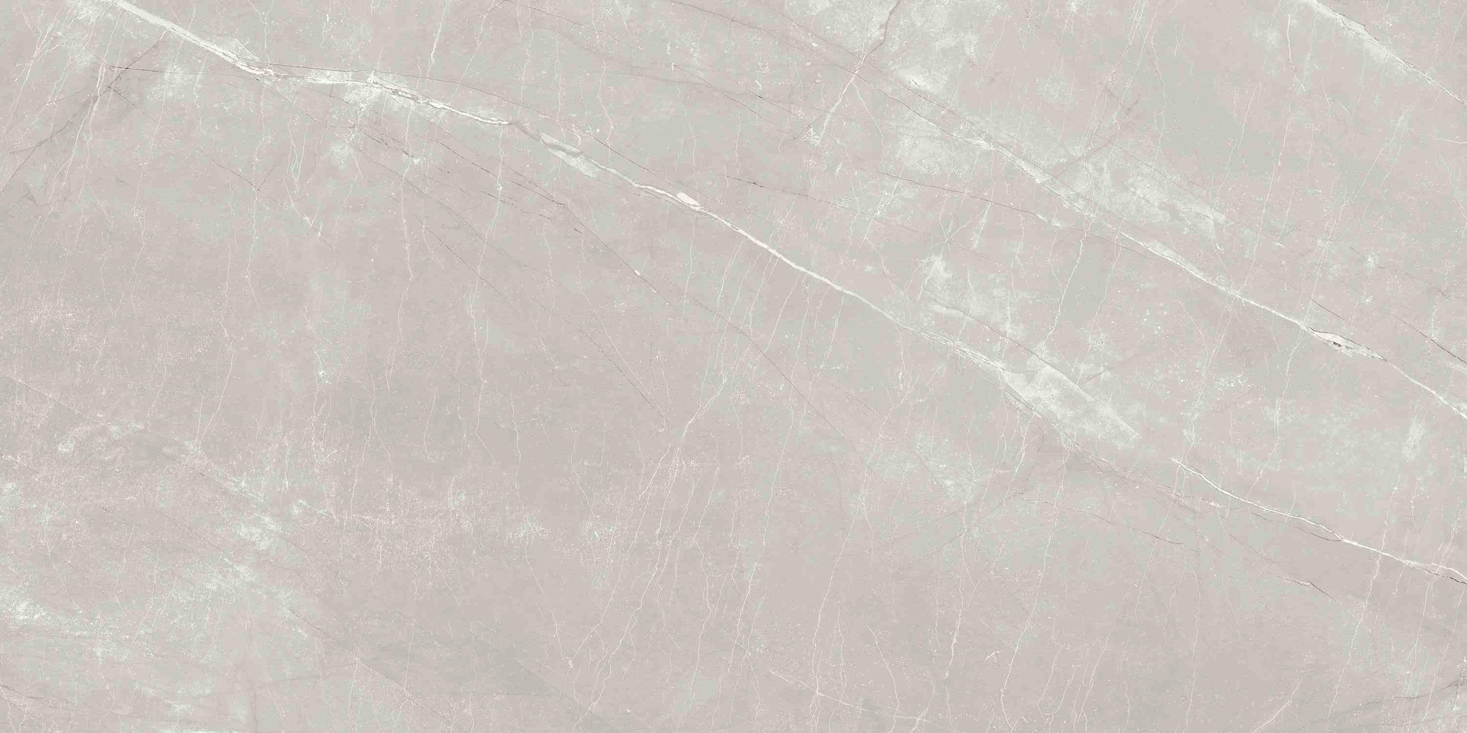 ENSTN7004MT60120 На пол Stone Alaska Grey Matt 60x120 - фото 2