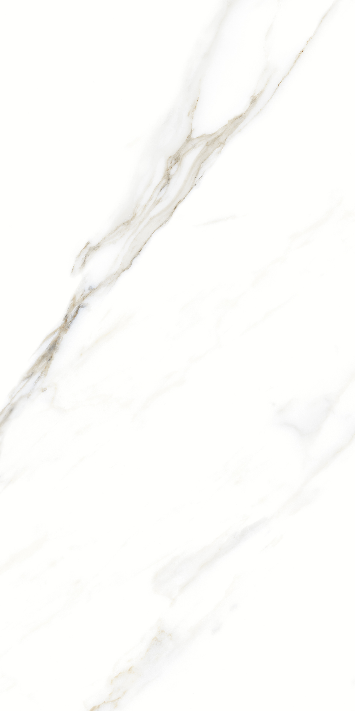 893  На пол Marble 5.5mm Fantastic White 120x60 - фото 2