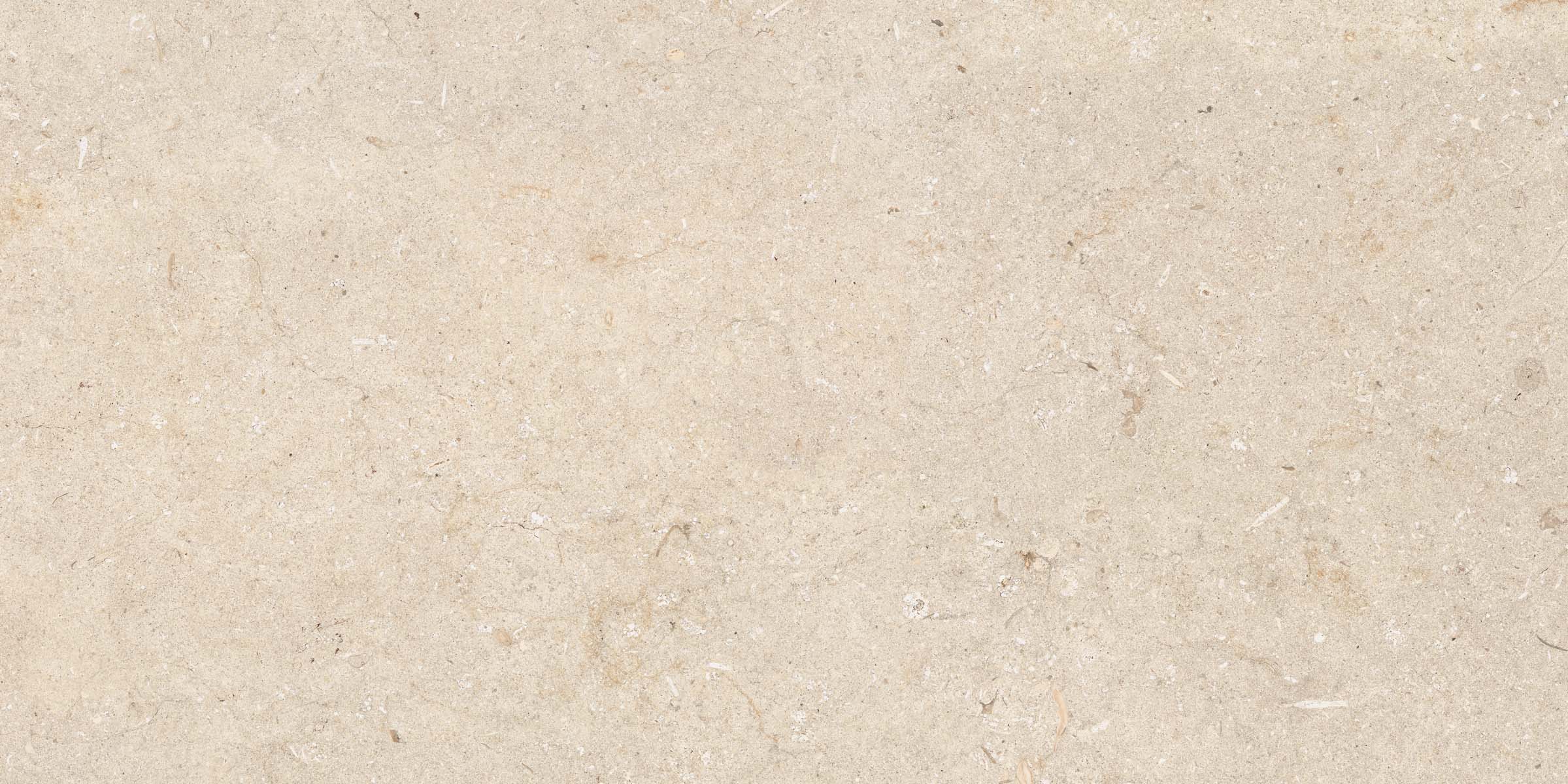 PF60010538 На пол Poetry Stone Trani Beige Nat Rett 60x120 - фото 2