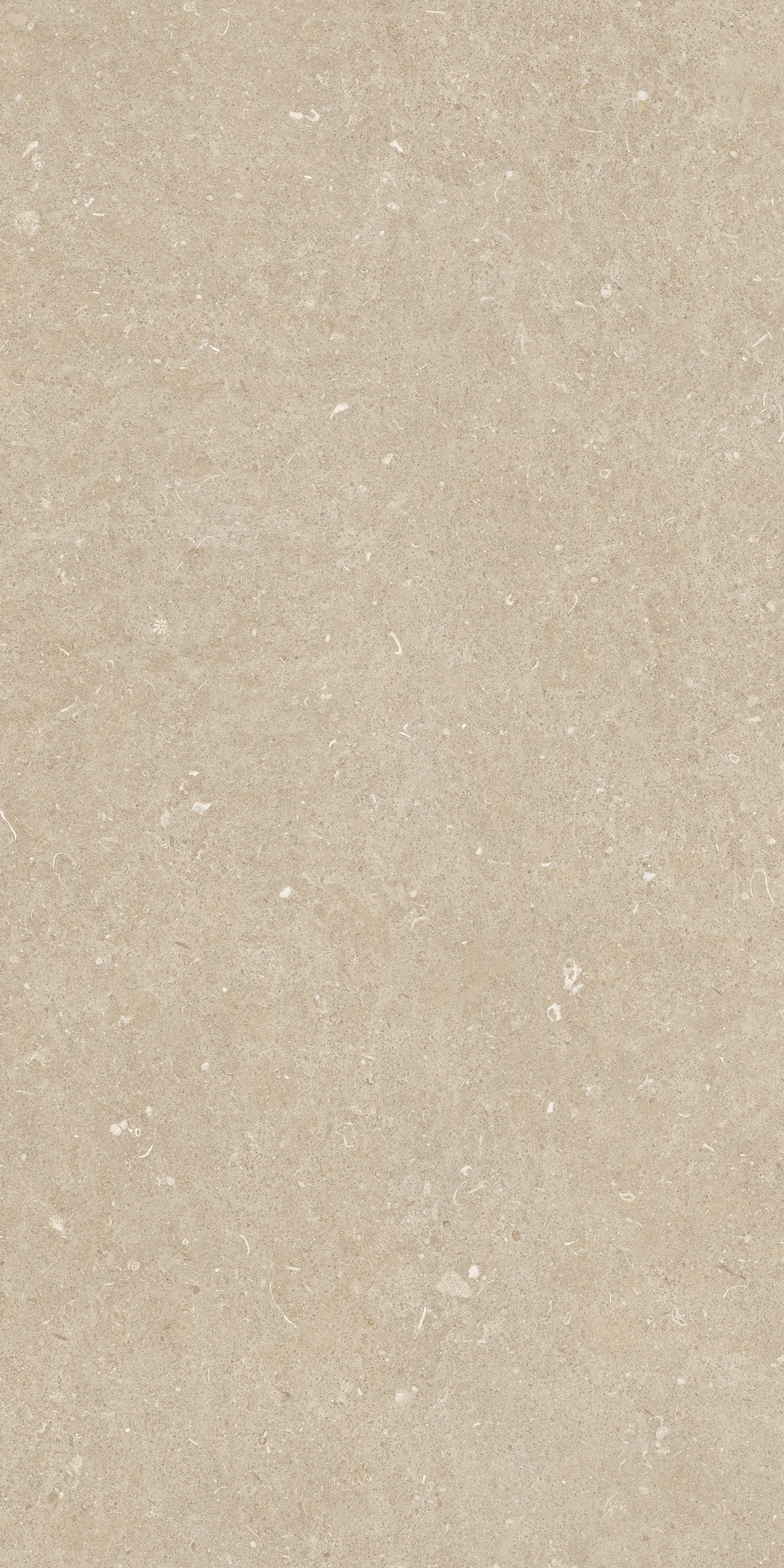 785481 На пол Rinascenza Arena Conchiglia Matte 60x120 - фото 7