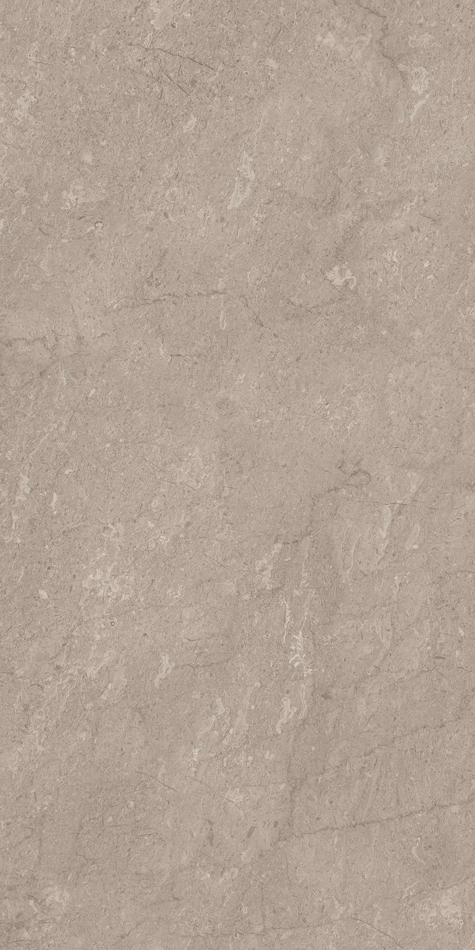 AEM02/NS_R9/60x120x9R/GW На пол Элемента Серый Неполированный Рект 60x120x9 - фото 12