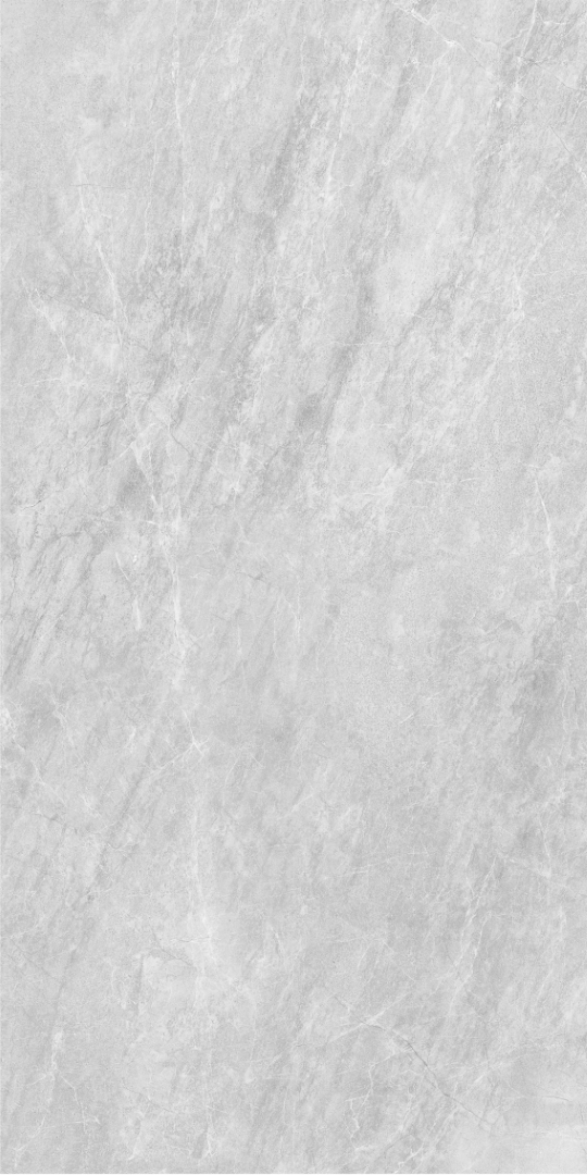 010400001373 На пол Super stone Grey PG 11 60х120
