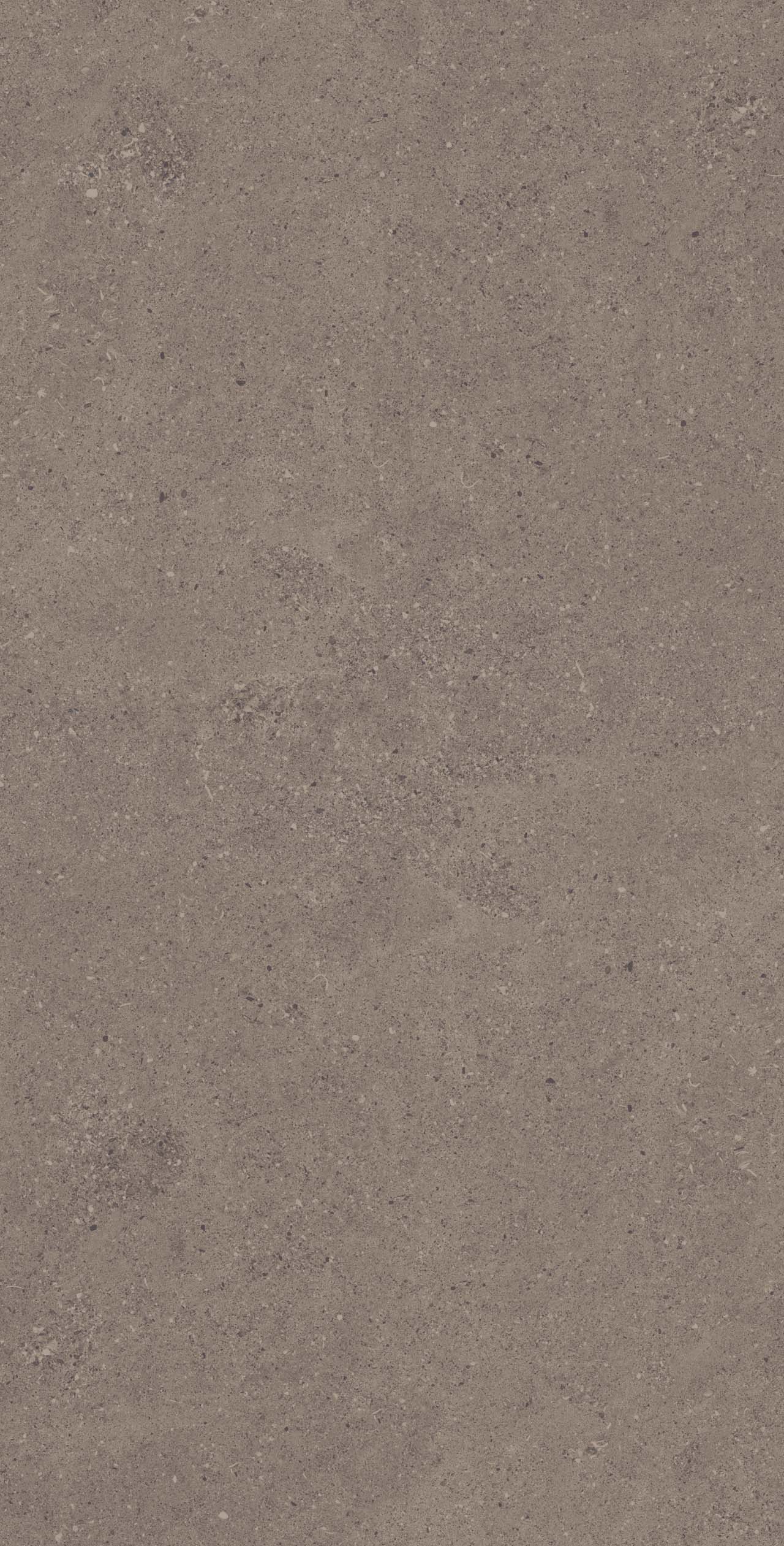 CE04/NR_R9/60x120x9R/GW На пол Спенс CE04 Темно-серый Структурированный Рект 60x120x9 - фото 3