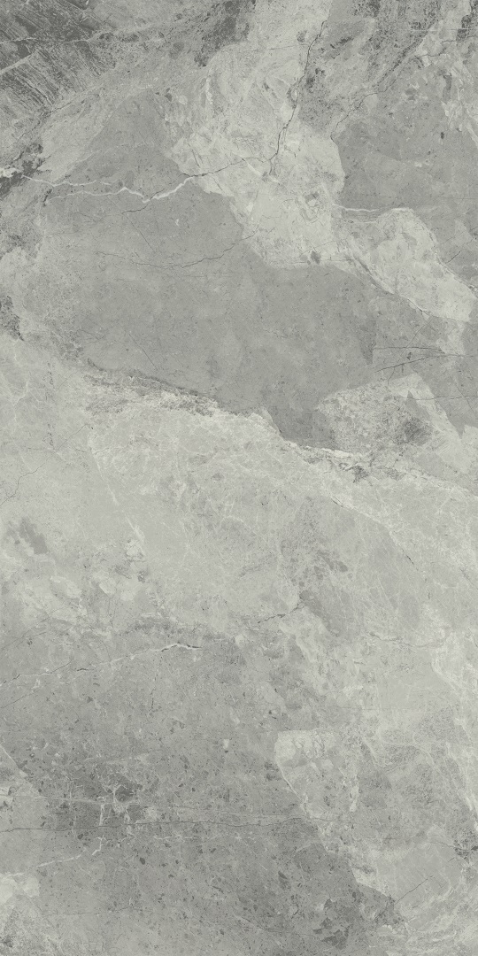 610015000370 На пол Charme Extra Floor Project Силвер 60x120 Люкс и Реттифицированный - фото 2