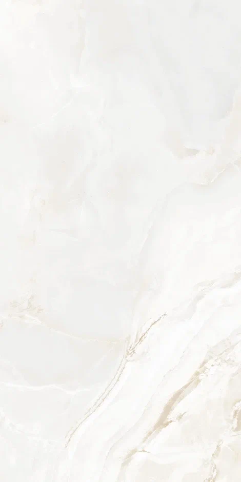 QI612P6701M  На пол Onix Astral Polish 60x120 - фото 8