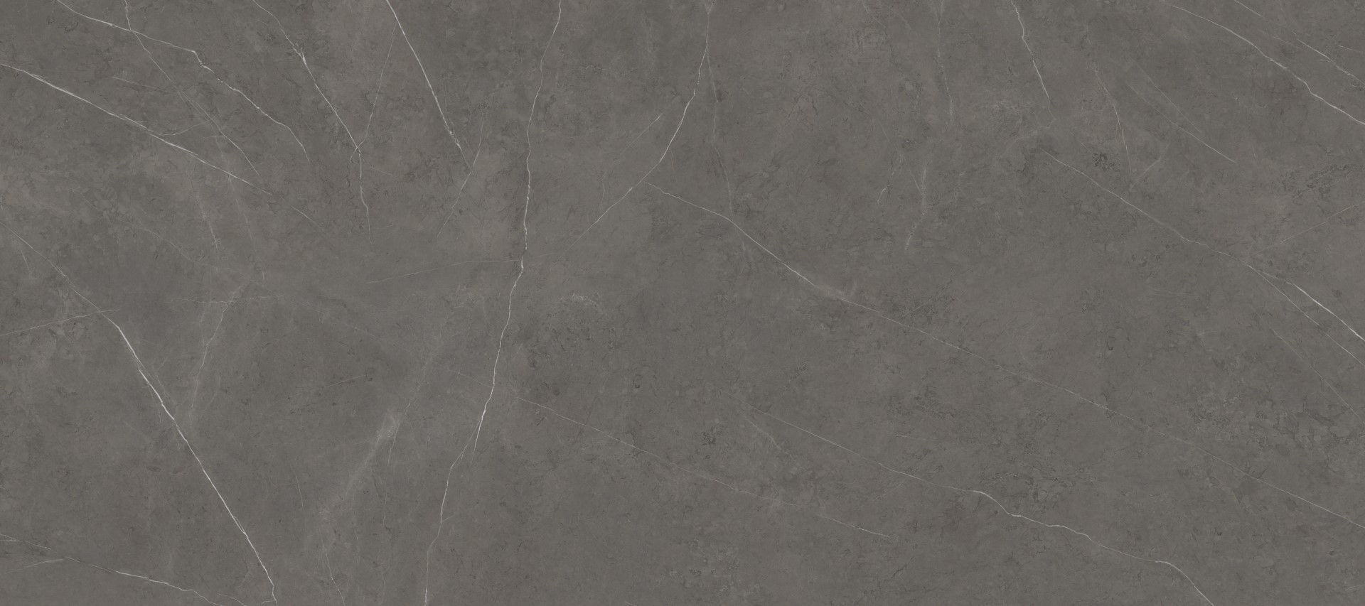 100332609 На пол Liem Black Grey Nature 120x270 - фото 2