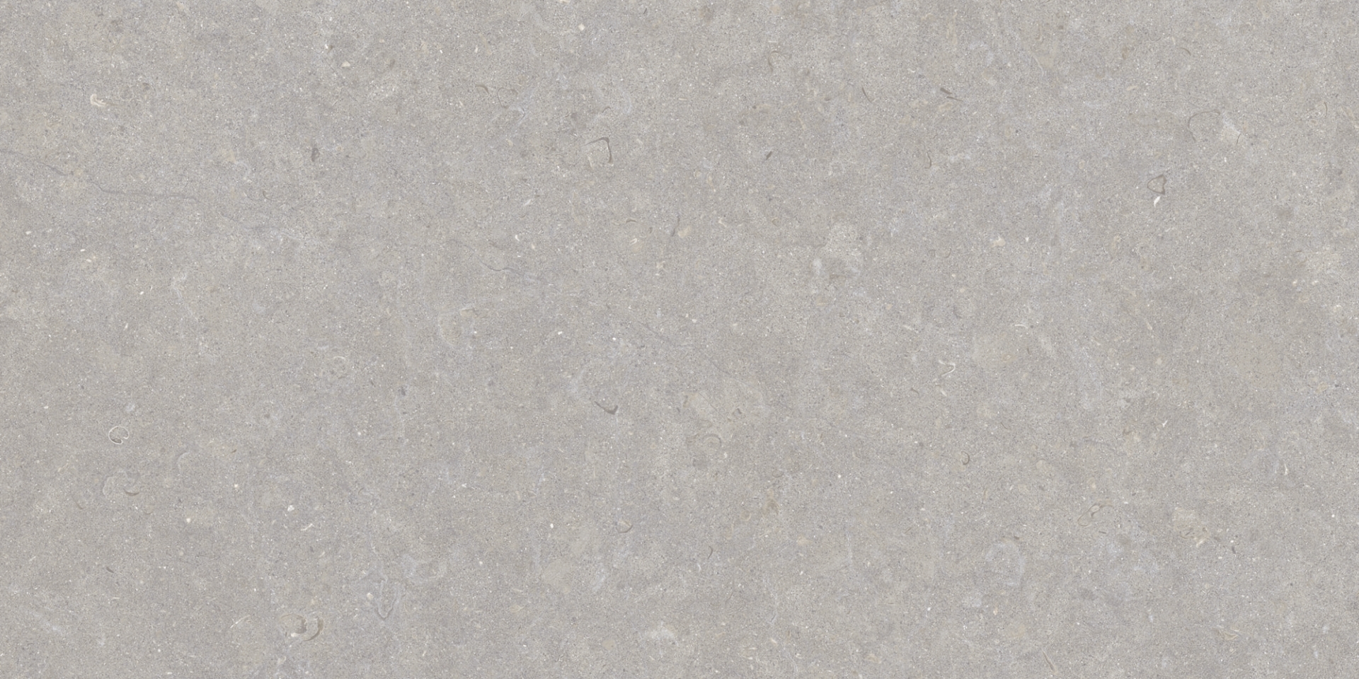 35568 На пол Ghent Grey/50X100X2/A/R 50x100 - фото 5