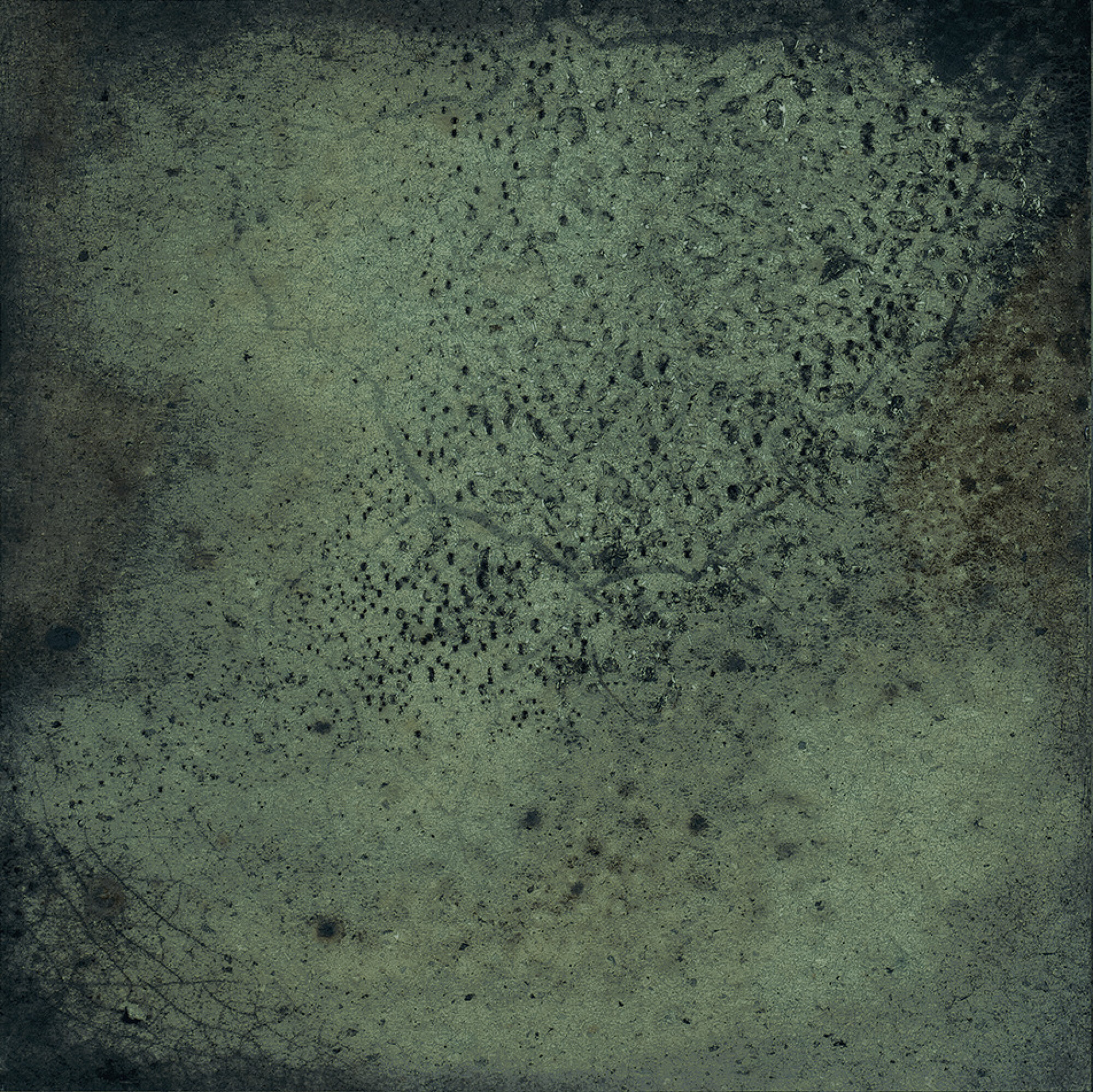 31041 На стену Legacy Green 15x15 - фото 17