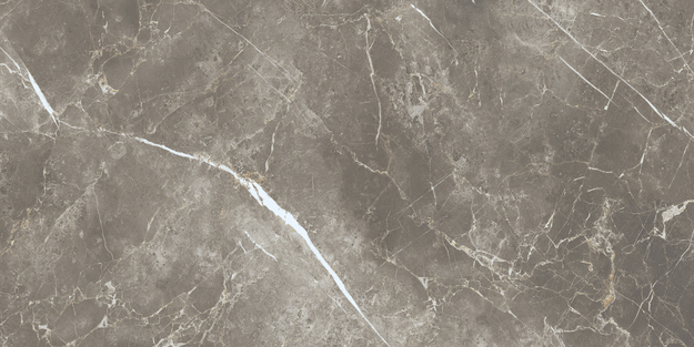 ECC2 На пол Elements Lux Persian Grey Silk RT 60x120 - фото 13