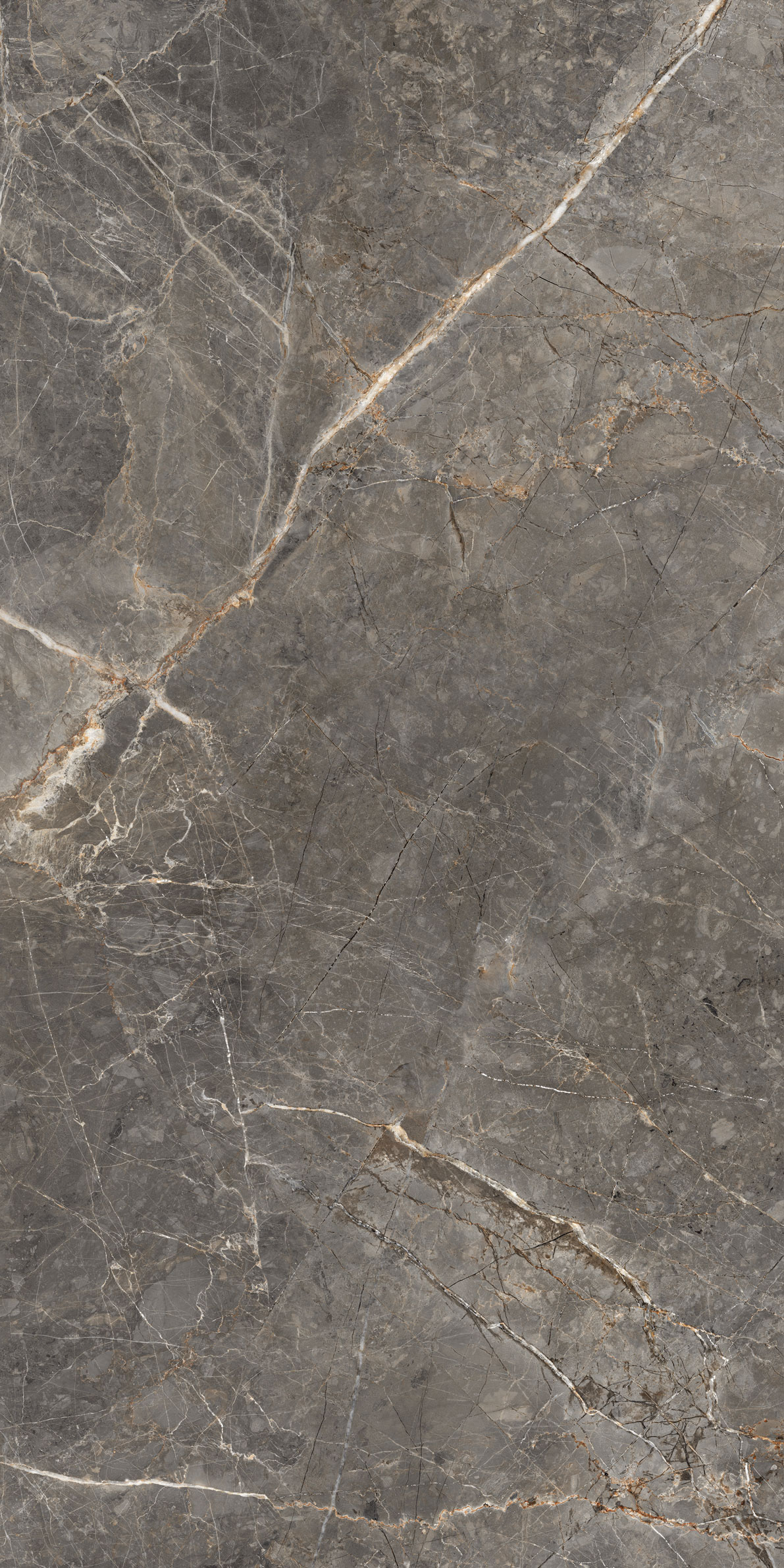 GT1206023109MGR На пол Salsa Темно-серый 60x120 - фото 3