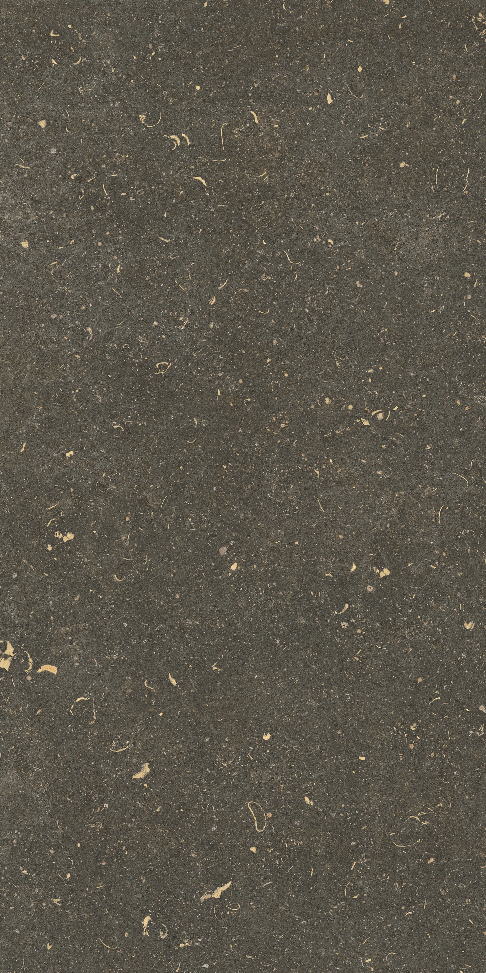 785495 На пол Rinascenza Arena Platino Grip 60x120 - фото 6