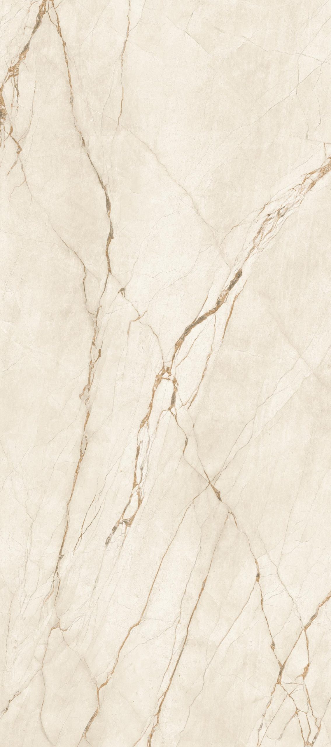 78C778E На пол Canela Roma Beige 5.6mm 120x278