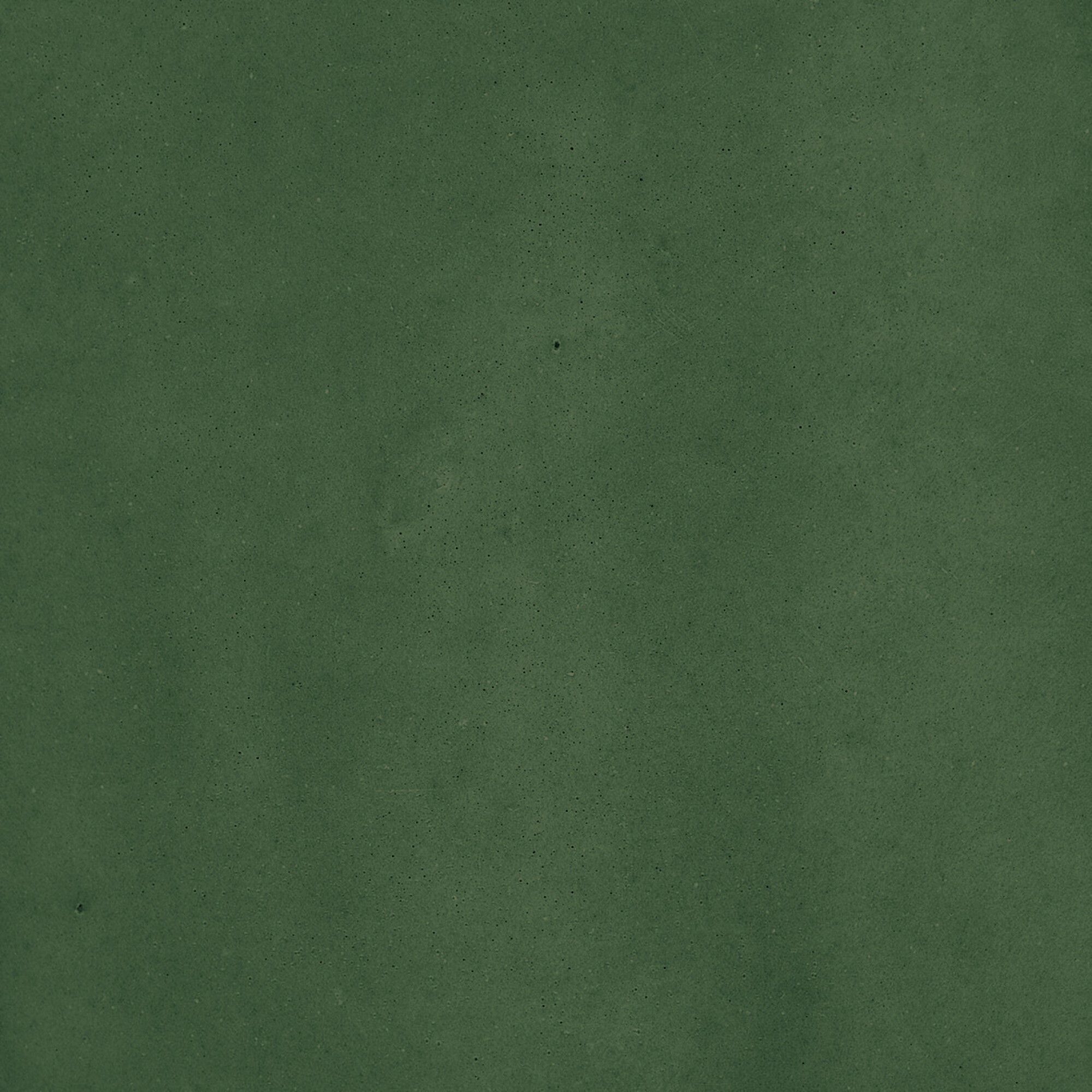 43289 На стену Samira Green 10x10