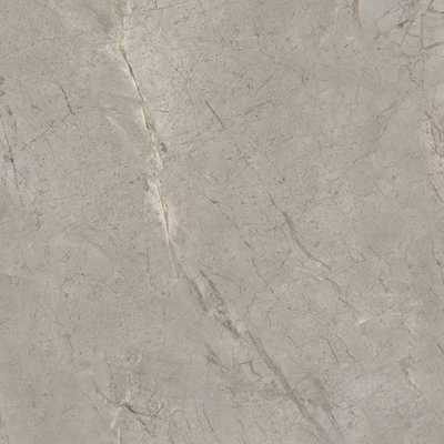 2A52 На пол Elements Lux Silver Grey Lappato RT 120x120 - фото 2