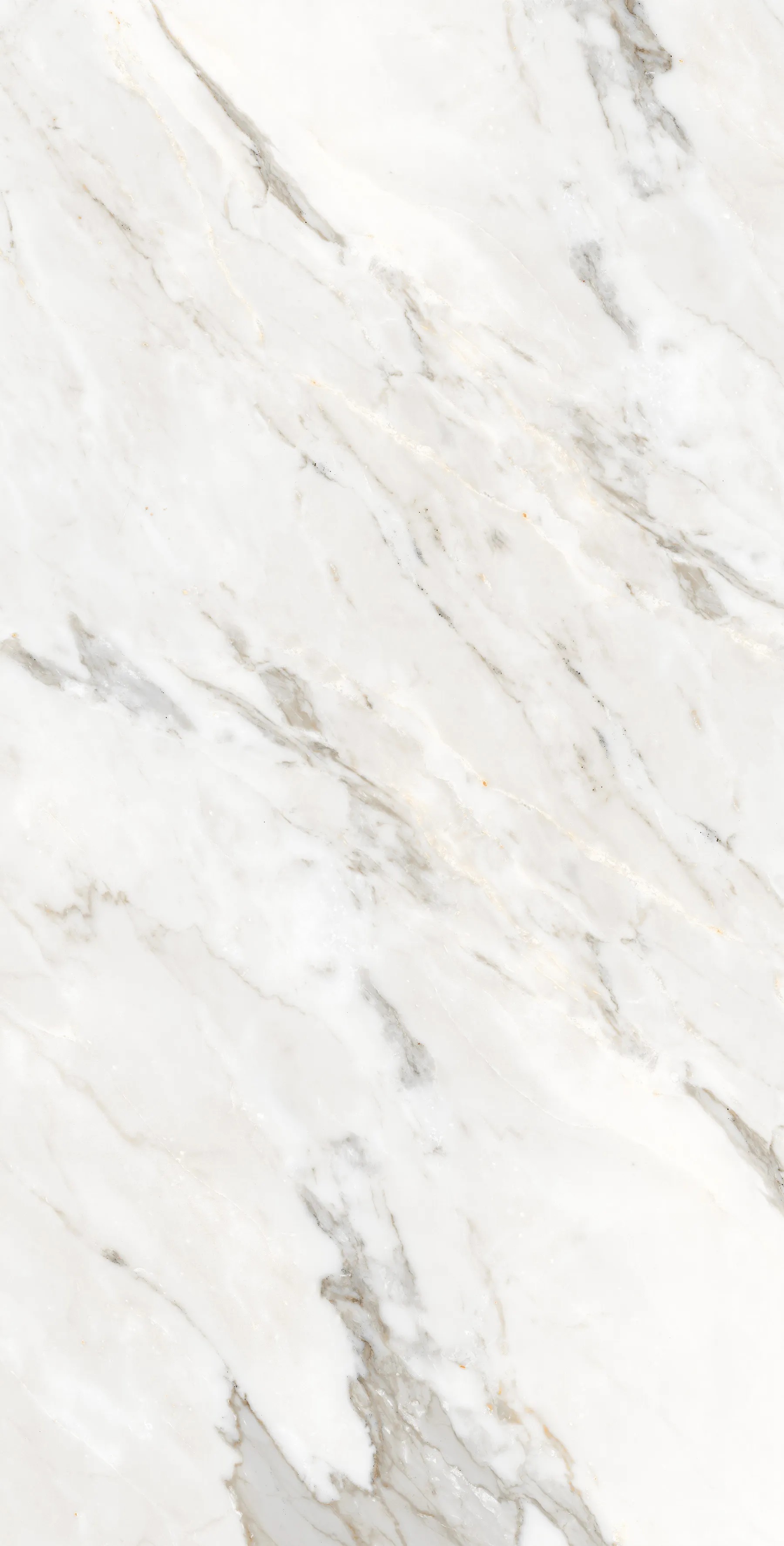 FP1006-A На пол Calacatta Oro 60x120 - фото 7