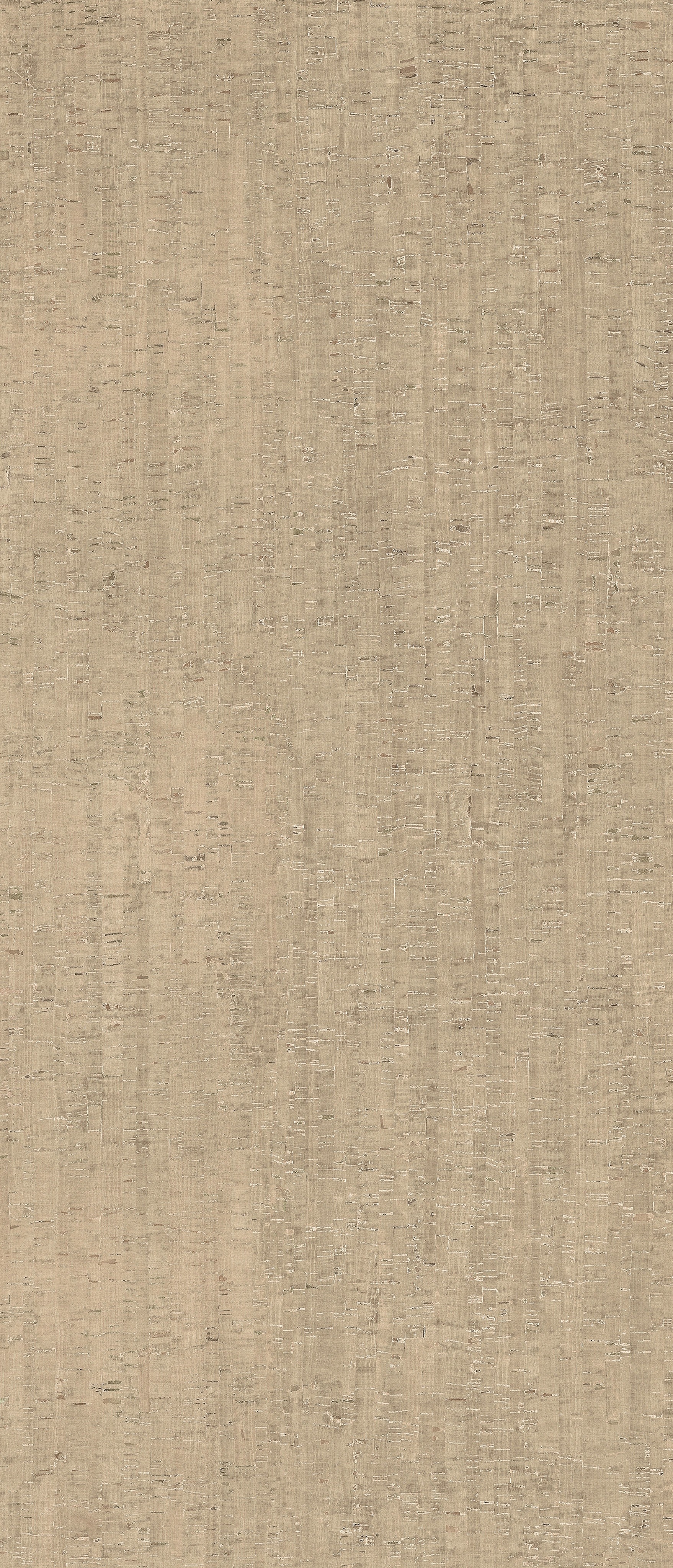 785588 На пол Rinascenza Modulo Conchiglia Matte 6mm 120x280 - фото 2