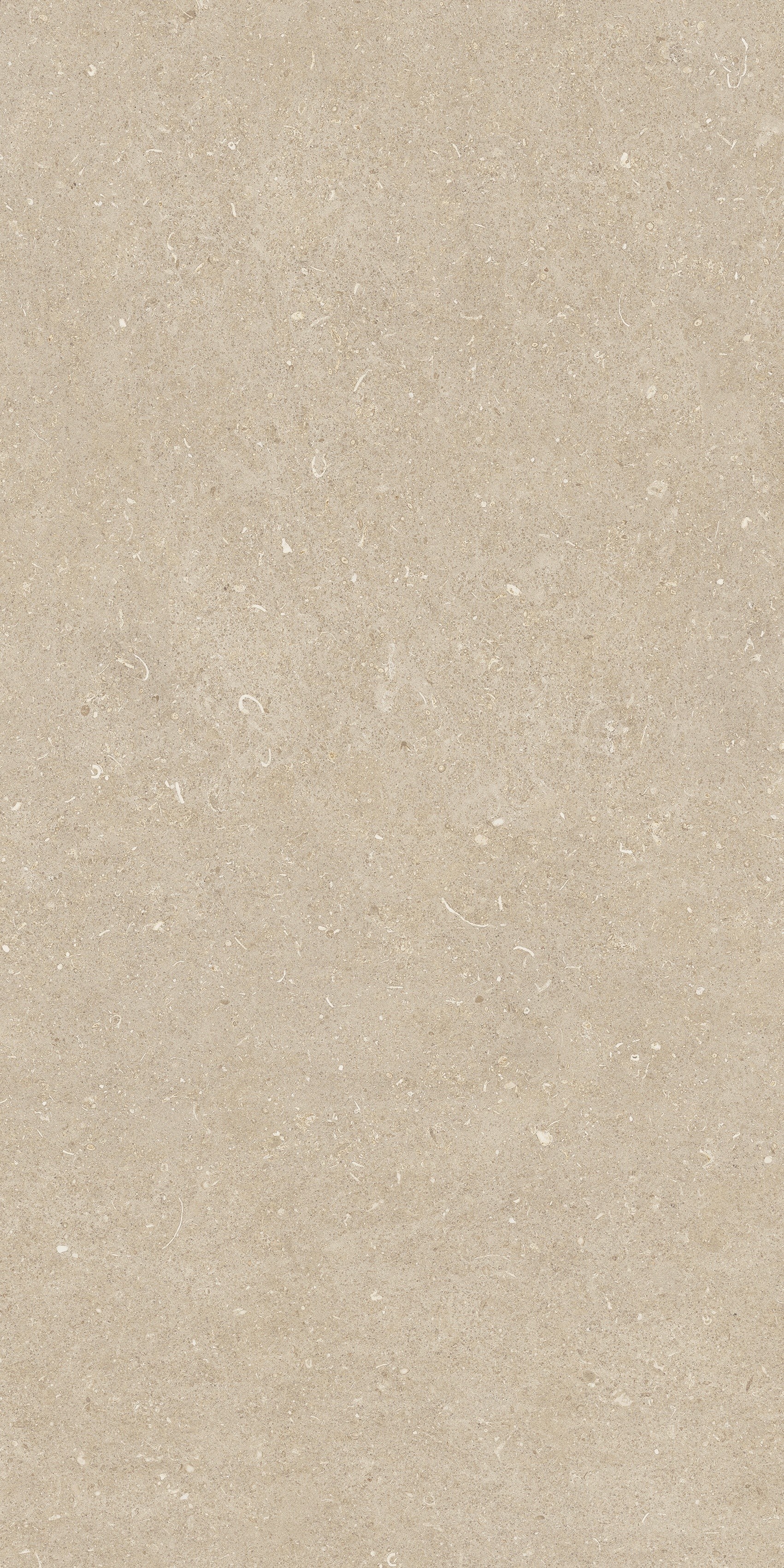 785509 На пол Rinascenza Arena Conchiglia Grip 20mm 60x120 - фото 8