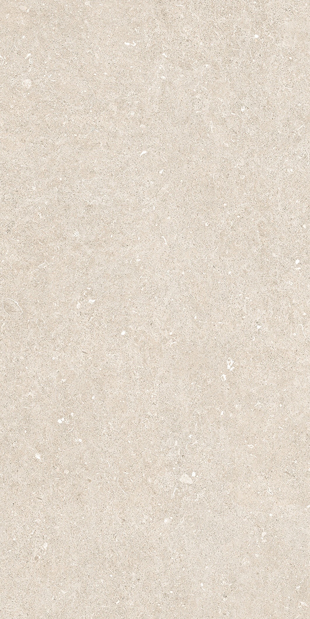 785574 На пол Rinascenza Arena Bianco Antico Matte 6mm 60x120 - фото 9