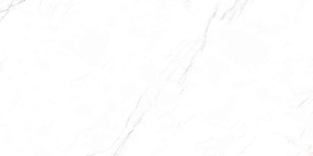 ENMAR1030MT60120 На пол Marble Mystic White Matt - фото 5