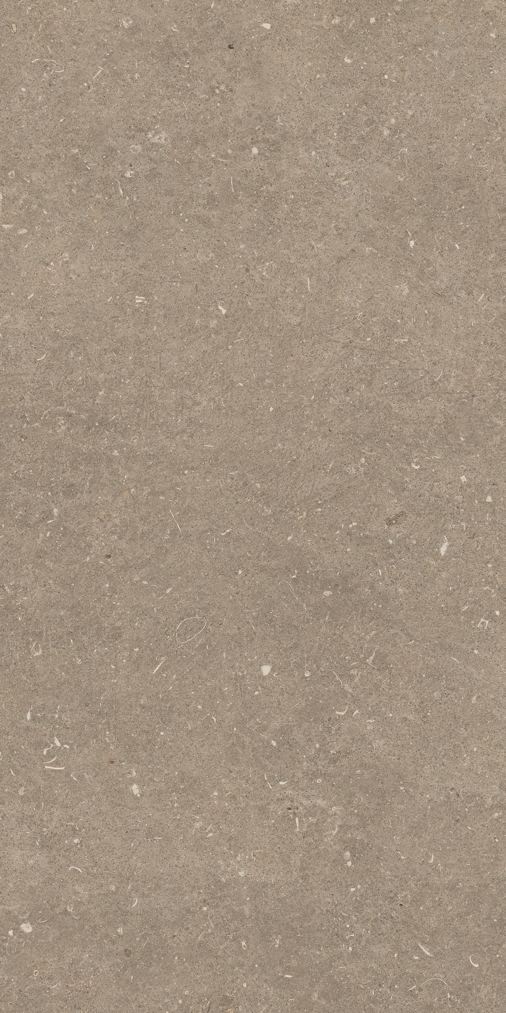 785510 На пол Rinascenza Arena Pietra Grip 20mm 60x120 - фото 4