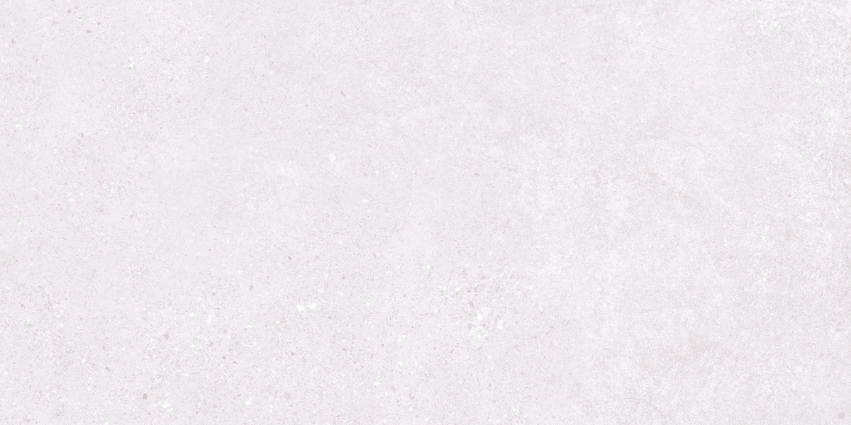 На пол Базальт Эксепшнал Сноу Светло-серый матовый 60х120 - фото 3