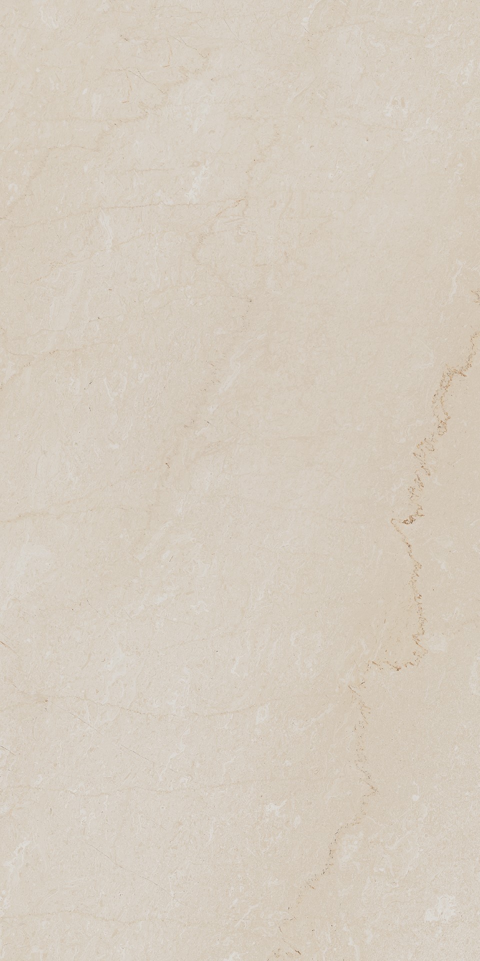 AEM00/NS_R9/60x120x9R/GW На пол Элемента Бежевый Неполированный Рект 60x120x9 - фото 4