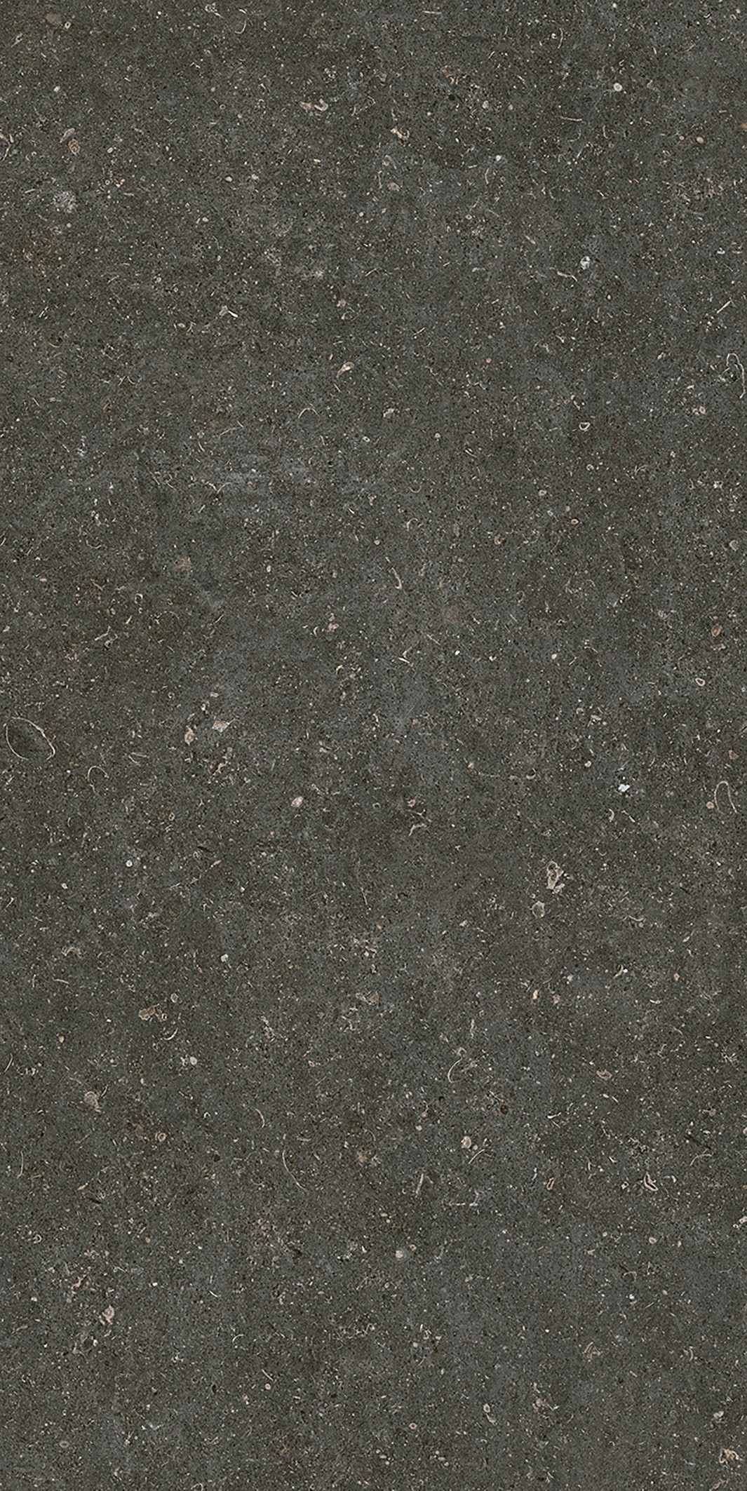 785577 На пол Rinascenza Arena Platino Matte 6mm 60x120 - фото 7