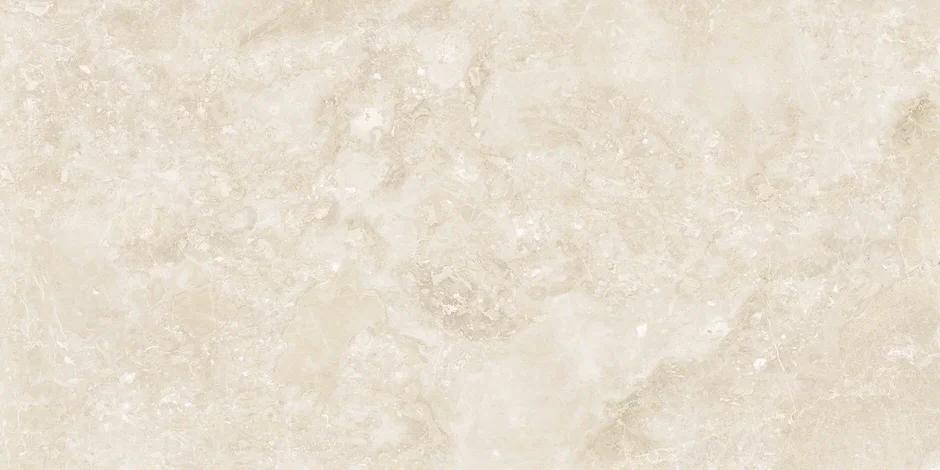 YWI612S183 На пол Quiet DDG 60x120 - фото 6