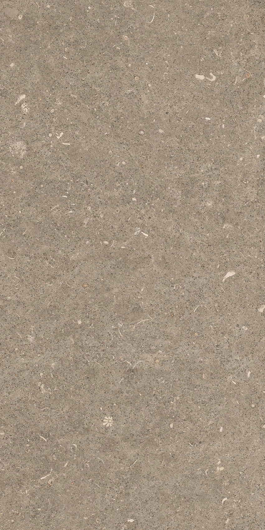 785502 На пол Rinascenza Arena Pietra Grip 30x60 - фото 7