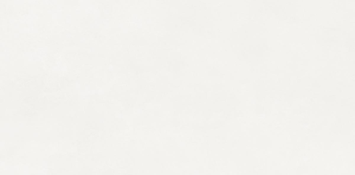 N110011 На пол Loft Aston White Matt 60x120 - фото 3